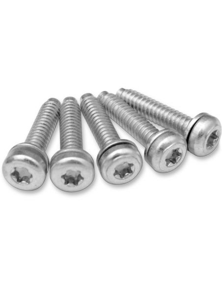 Fuel pump screws set of 5 pieces