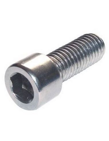 Chrome-plated Allen screws in millimeters 10 x 100