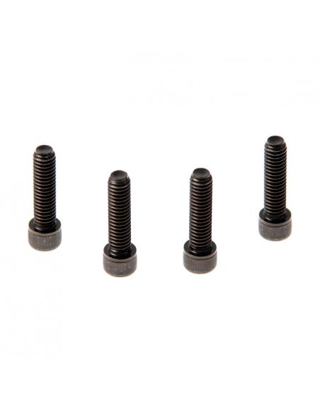 Set of black screws for upper plate riser