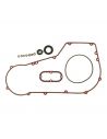 Primary gasket kit For Dyna from 1991 to 1993