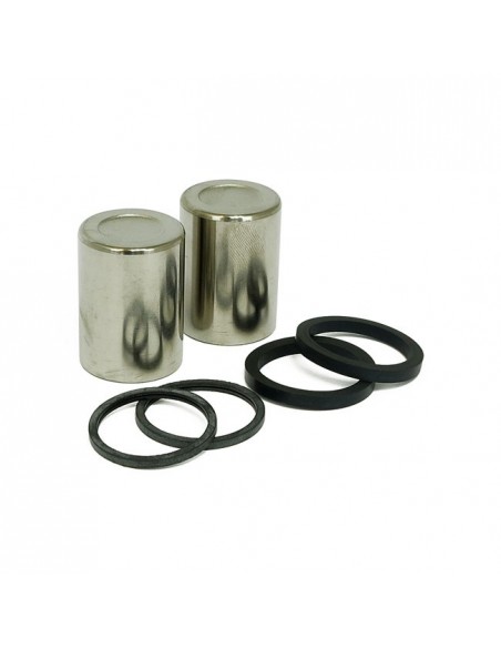 Oil seal and piston kit for...