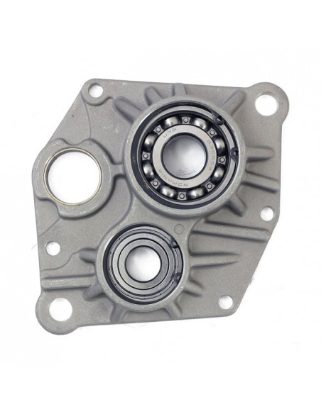 gearbox bearing support for...