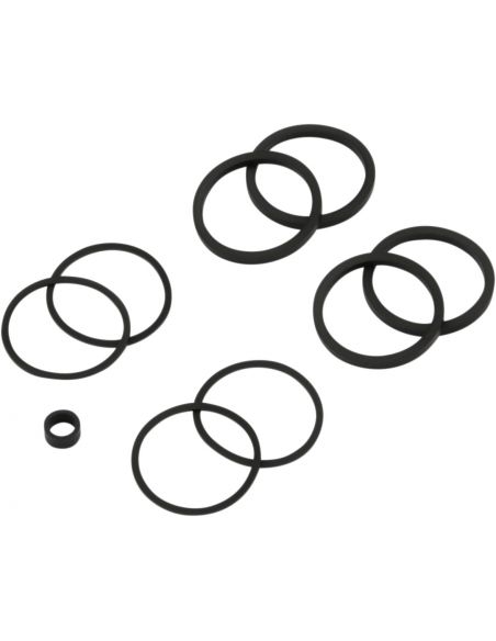 Oil seal and piston kit for rear brake caliper for Softail and Dyna from 2008 to 2017 ref oem 42344-08A