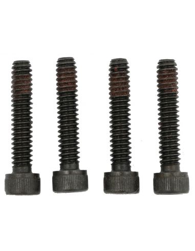 Stator locking screws for Softail from 1989 to 2006 ref OEM 2720