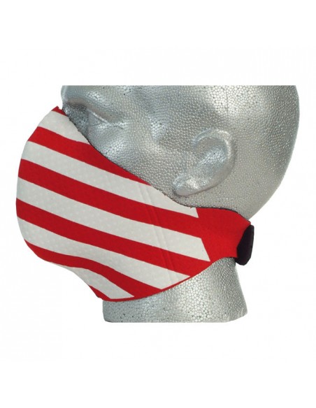 Bandero Usa Mask