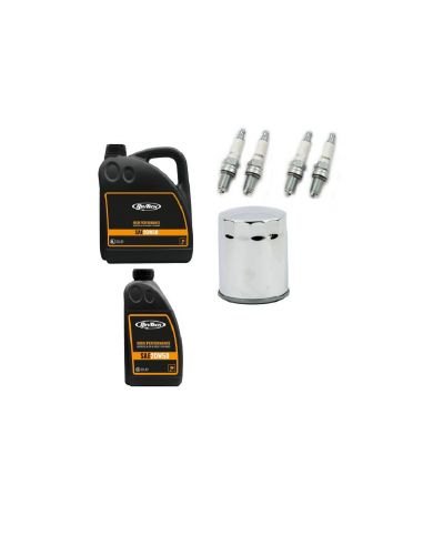Servicing kit with semi-synthetic oil rev-tech for Harley Davidson Softail and Touring M8 from 2017 to 2022