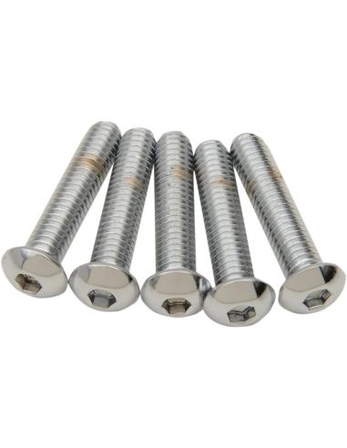 Chromed 3/8-24 inch rounded screws 25 mm long