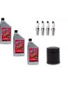 Synthetic service kit 10W-50 for Panamerica 1250S from 2021 to 2023