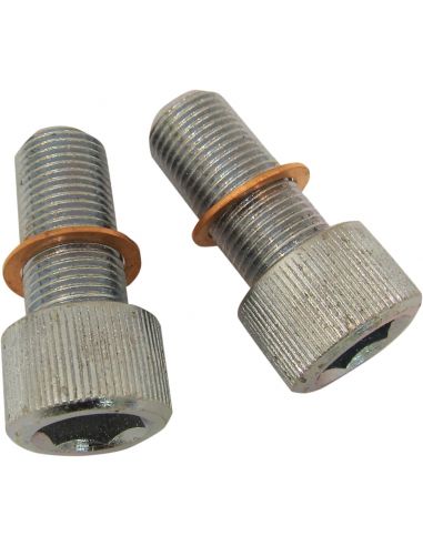 Pair of screws with washers for fixing pumping units for Dyna from 2006 to 2017 ref OEM 46614-06