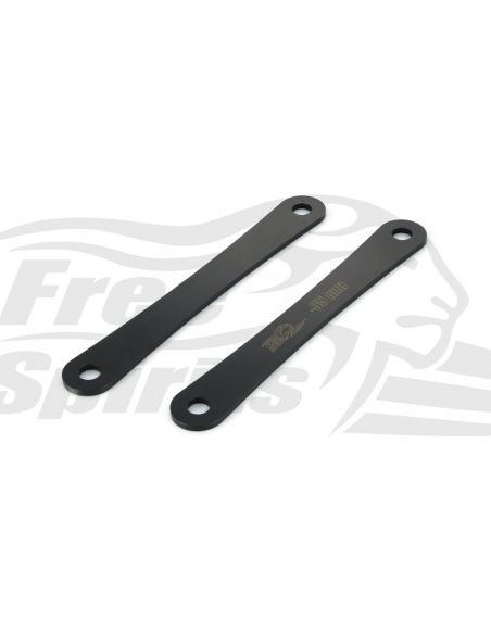 Rear trim kit for Pan America 1250 from 2021 to 2024