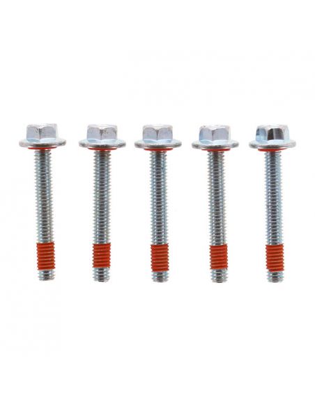 Kit of 5 primary crankcase fixing screws for Softail from 2007 to 2023 ref OEM 786A