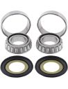 Steering Bearing Kit for Touring from 2014 to 2024 ref OEM 45700009