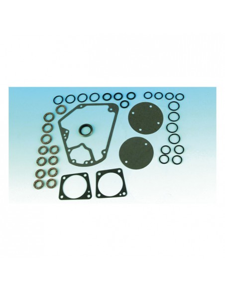Cam replacement gasket kit