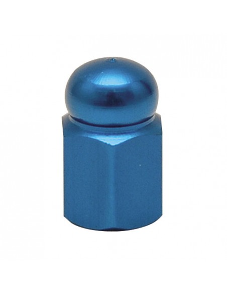 Valve plugs Hex Domed blue