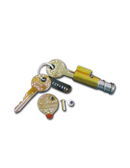 Steering lock with two keys