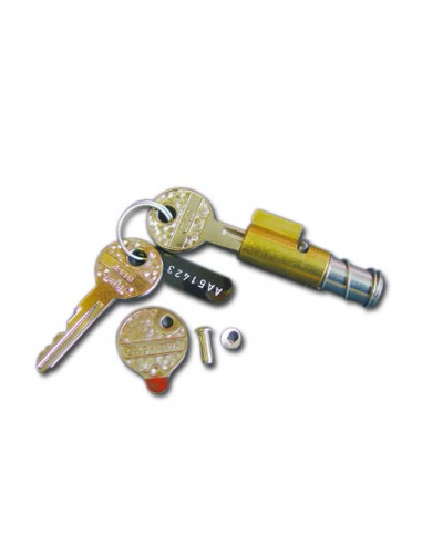 Steering lock with two keys