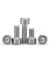 Stainless steel screw kit